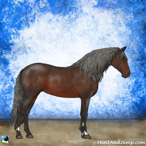 Horse Color:Liver Chestnut Mushroom 