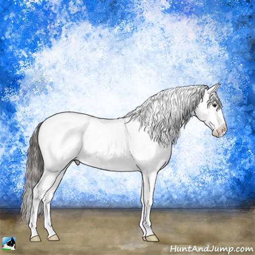 Horse Color:White Spotted Liver Chestnut Splash Rabicano 