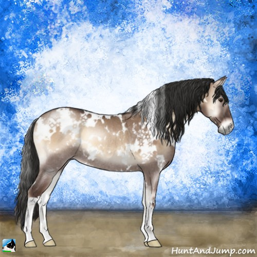 Horse Color:White Spotted Liver Red Dun Onyx Rabicano 