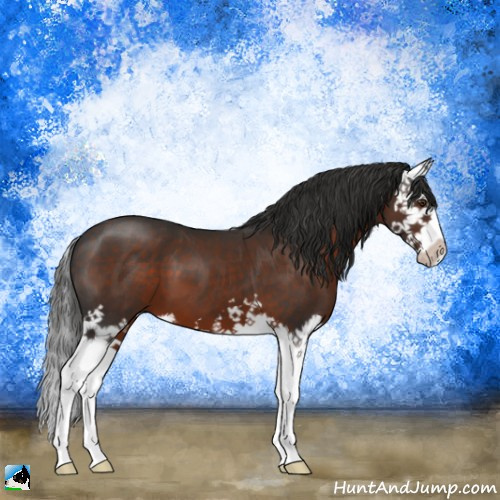 Horse Color:Liver Chestnut Splash 
