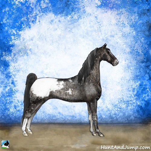 Horse Color:Blue Onyx Ice Appaloosa Rabicano 
