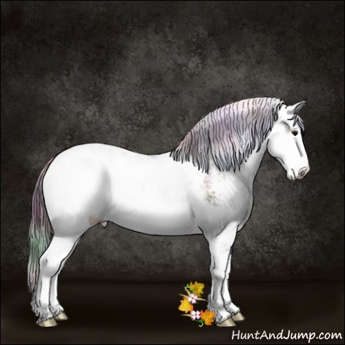 Horse Color:Nacre Buckskin Sabino Rabicano 