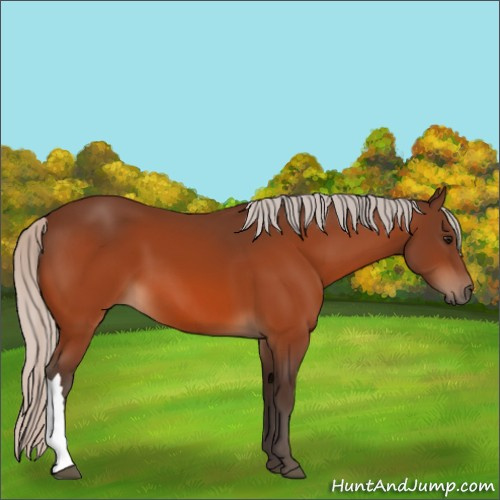 Horse Color:Silver Bay