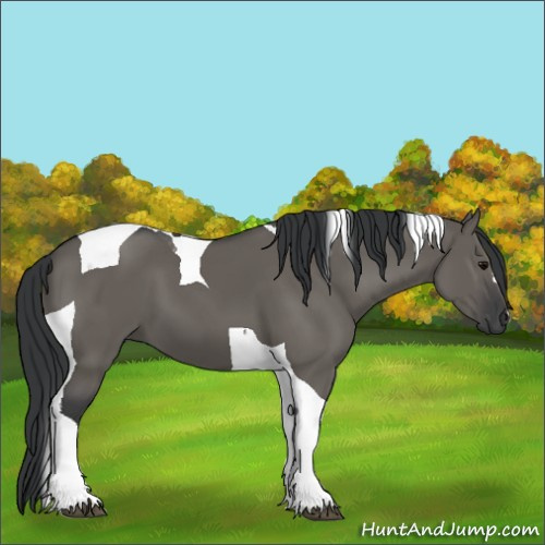 Horse Color:Grullo Tobiano 