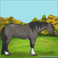 Horse Color:Grullo Tobiano 