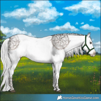 Horse Color:Platinum Chocolate Palomino Sabino 