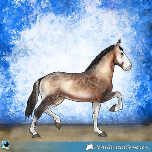 Horse Color:Brown Ice Onyx Sabino 