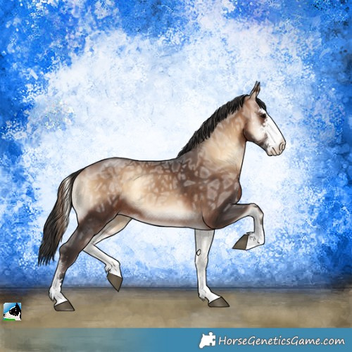 Horse Color:Brown Ice Onyx Sabino 