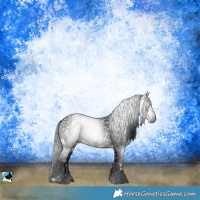 Horse Color:Gray White Spotted Brown Ice Rabicano 