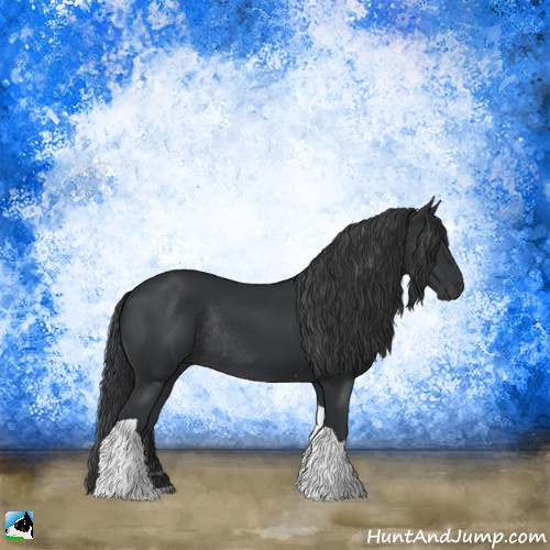 Horse Color:Black Sabino Tobiano Rabicano 