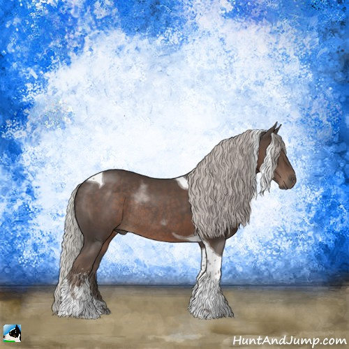 Horse Color:Silver Black Sabino Tobiano Rabicano 