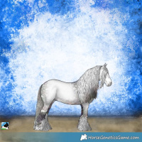 Horse Color:Gray Nacre White Spotted Liver Chestnut Ice Sabino Rabicano 