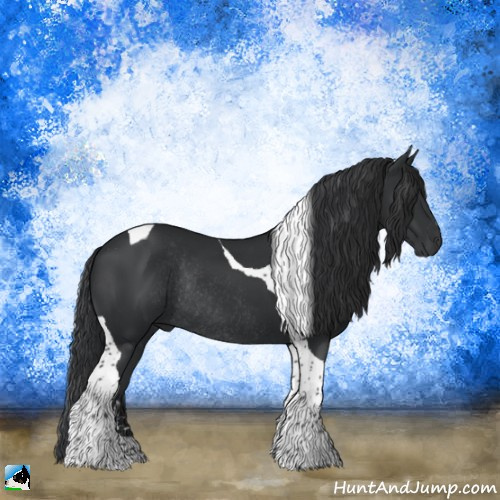 Horse Color:Black Sabino Tobiano Rabicano 