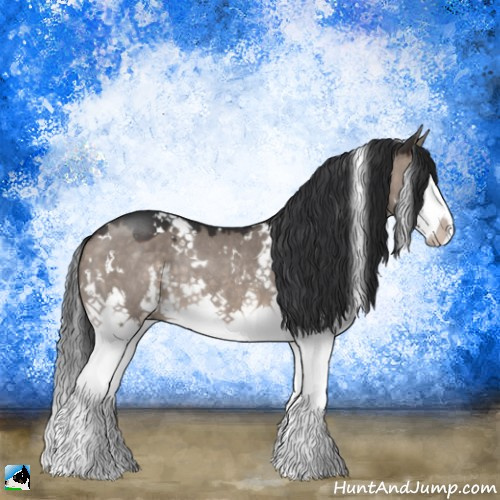 Horse Color:White Spotted Brown Dun Mushroom Sabino Splash Rabicano 