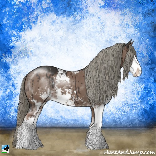 Horse Color:Liver Red Dun Mushroom Sabino Rabicano Brindle 
