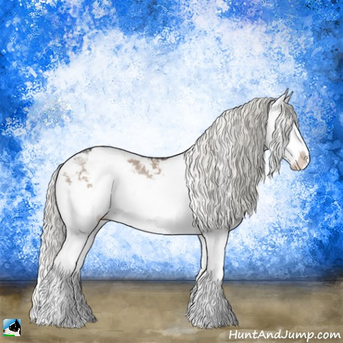 Horse Color:Liver Red Dun Mushroom Sabino Splash Rabicano 