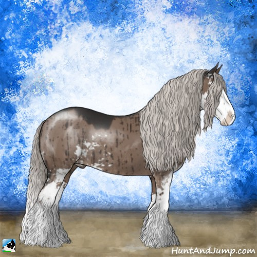 Horse Color:Liver Red Dun Mushroom Sabino Splash Rabicano Brindle 