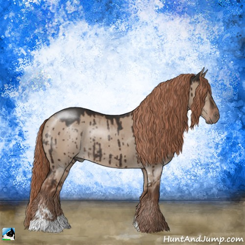 Horse Color:Liver Red Dun Sabino Rabicano Brindle 