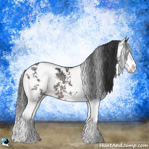 Horse Color:Brown Dun Mushroom Sabino Splash Rabicano 