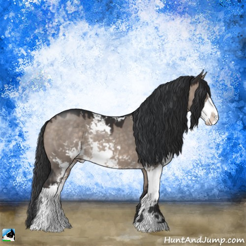 Horse Color:Brown Dun Mushroom Sabino Rabicano 