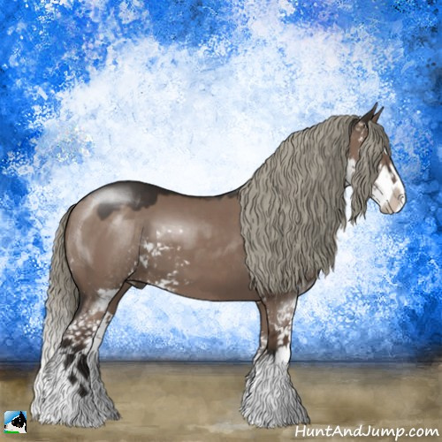 Horse Color:Liver Red Dun Mushroom Sabino Splash 