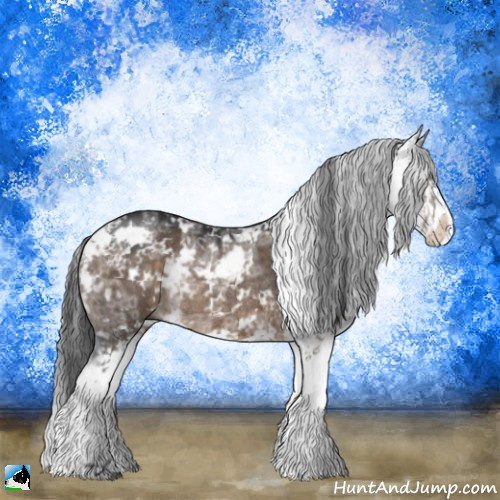 Horse Color:Brown Ice Dun Sabino Rabicano 