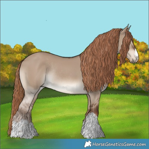 Horse Color:Liver Red Dun Rabicano