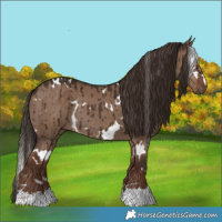 Horse Color:White Spotted Liver Red Dun Rabicano Brindle 