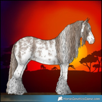 Horse Color:Liver Red Dun Sabino Brindle 