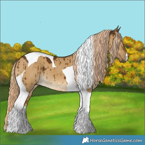 Horse Color:Chocolate Palomino Dun Tobiano Brindle 