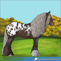 Horse Color:Silver Brown Blanket 