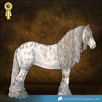 Horse Color:Chocolate Palomino Roan Tobiano  and White Spotted Liver Red Dun Appaloosa 
