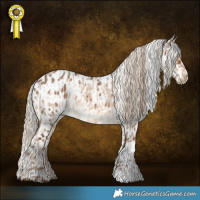 Horse Color:Chocolate Palomino Roan Tobiano  and White Spotted Liver Red Dun Appaloosa 
