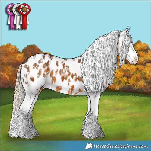 Horse Color:White Spotted Cremello Splash Tobiano Appaloosa  and White Spotted Chocolate Palomino Splash Appaloosa 
