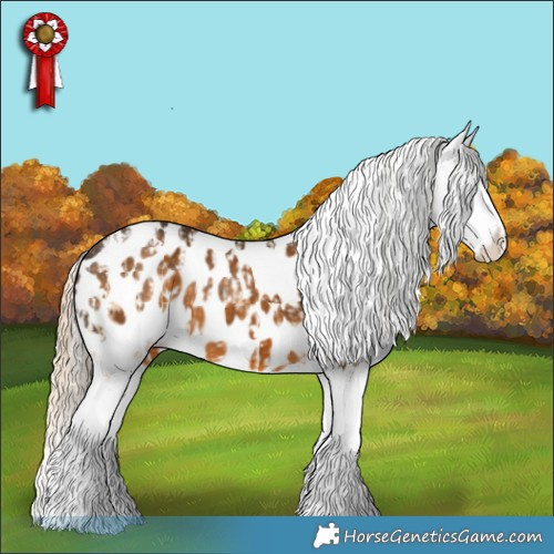 Horse Color:White Spotted Cremello Splash Tobiano Appaloosa  and White Spotted Chocolate Palomino Splash Appaloosa 