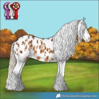 Horse Color:White Spotted Cremello Splash Tobiano Near Leopard  and White Spotted Chocolate Palomino Splash Near Leopard 