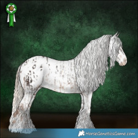 Horse Color:White Spotted Liver Chestnut Appaloosa  and White Spotted Gold Cream Champagne Tobiano Appaloosa 