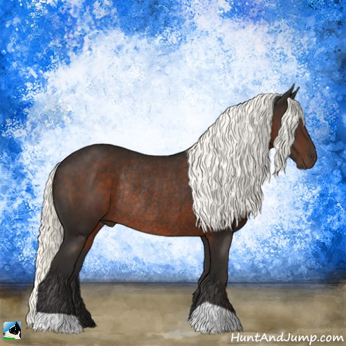 Horse Color:Liver Chestnut Mushroom Rabicano 