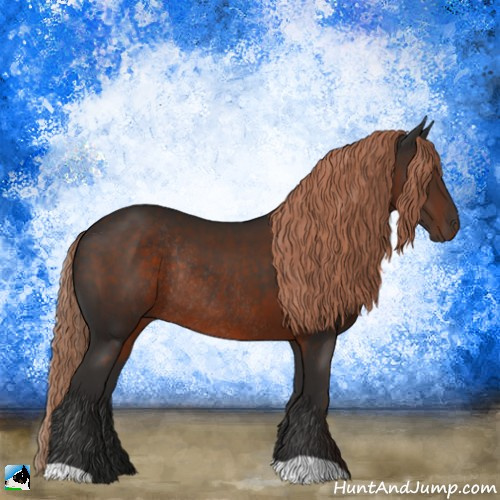 Horse Color:Liver Chestnut Rabicano 