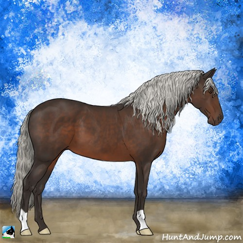 Horse Color:Liver Chestnut Mushroom 