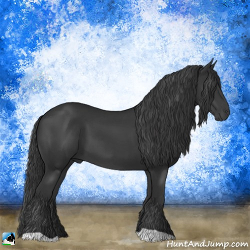 Horse Color:Black 