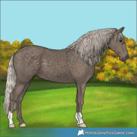 Horse Color:Silver Black 