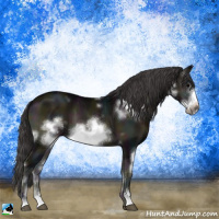 Horse Color:White Spotted Midnight Smoky Blue Onyx Sabino Frame 