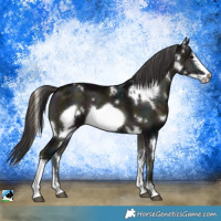 Horse Color:White Spotted Midnight Smoky Blue Onyx Sabino Frame