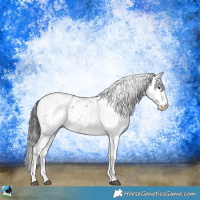 Horse Color:Liver Red Onyx Ice Sabino Rabicano