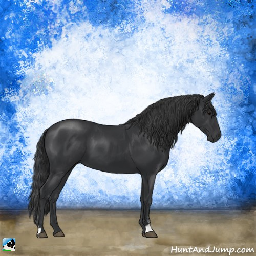 Horse Color:Black Sabino 