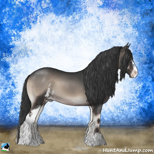 Horse Color:Blue Onyx Sabino 