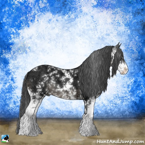 Horse Color:Black Ice Sabino 