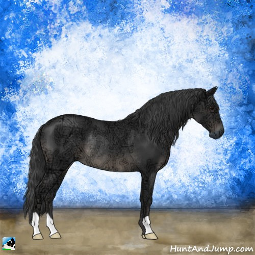 Horse Color:Black Ice Rabicano 
