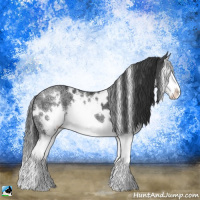 Horse Color:White Spotted Black Ice Sabino Splash 